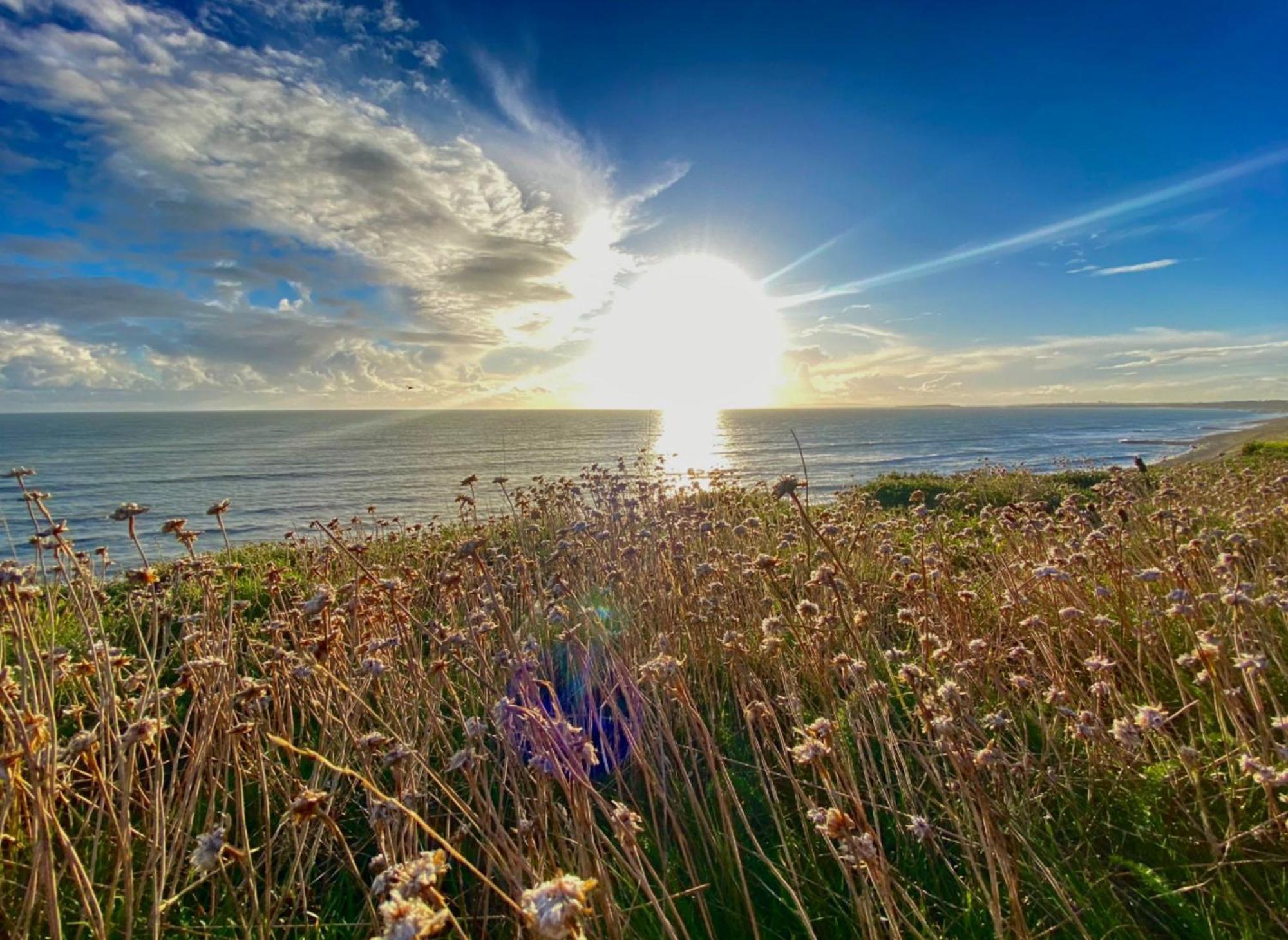 Seaside Escape In Central Bournemouth Spacious Stylish & Inviting Urban Heights Esterno foto